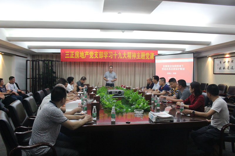 2018年5月20日，三正房地產黨支部學習十九大主題黨課.jpg
